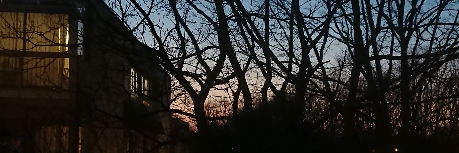 LouLienard's profile banner image