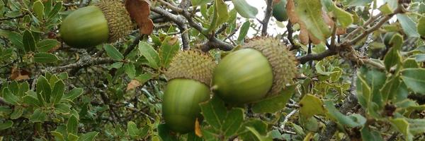 christsounis Profile Banner