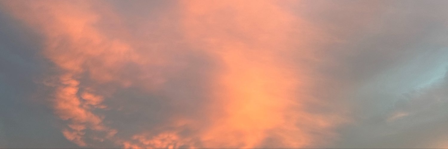loring_megan's profile banner image