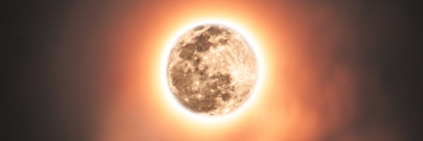 bellabarrett15's profile banner image
