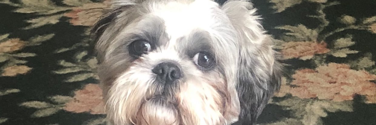 Gareth Roblyn banner