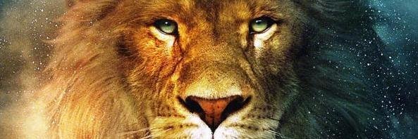aneeskhan19's profile banner image