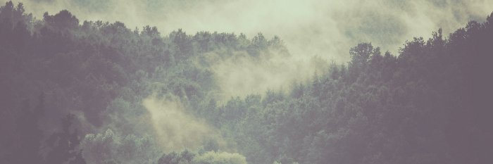kategrohmann's profile banner image