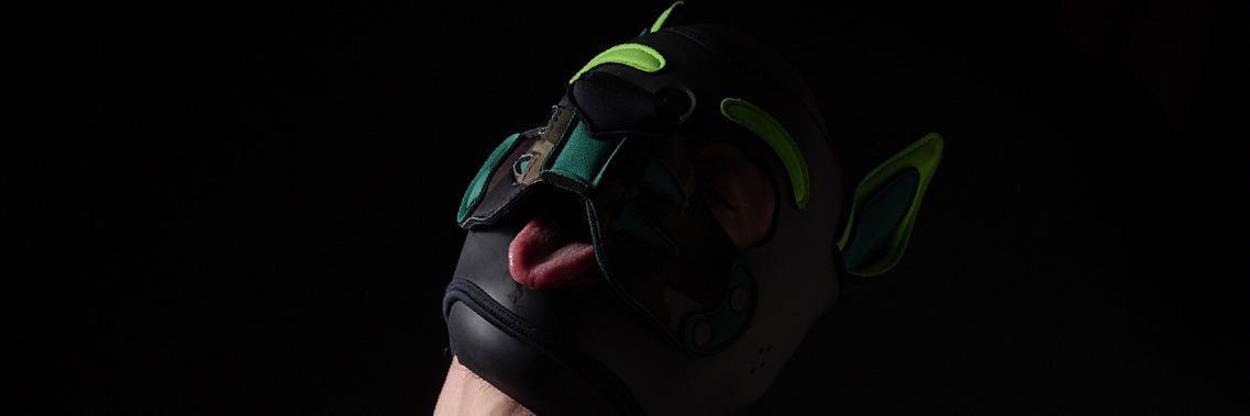The_Pup_Storm's profile banner image