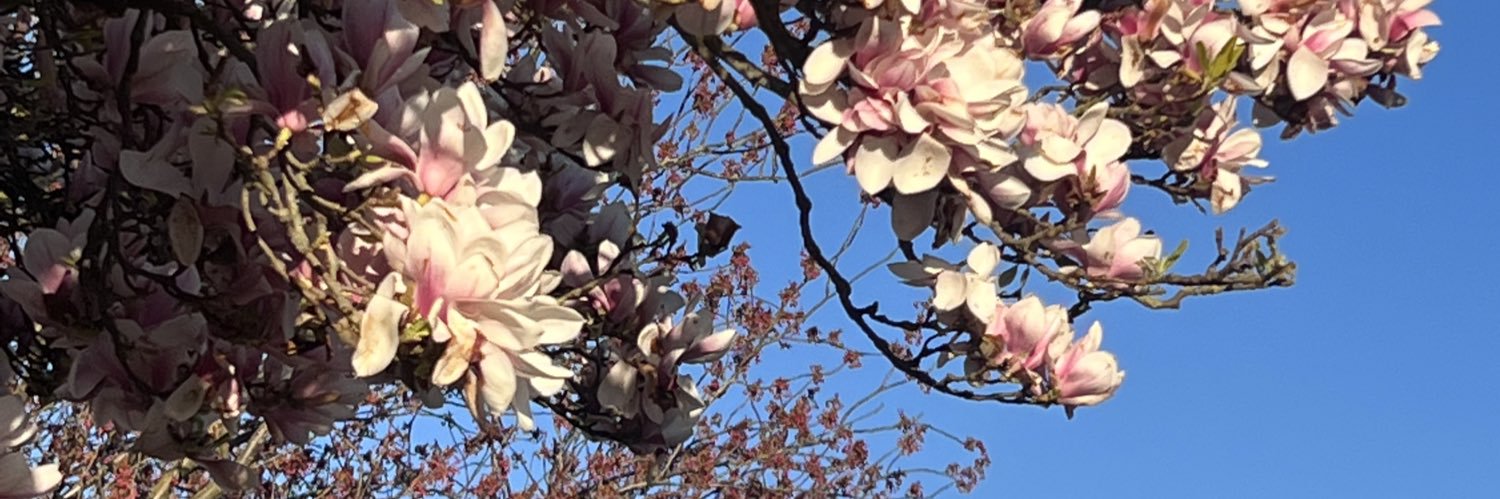 morganleee3's profile banner image