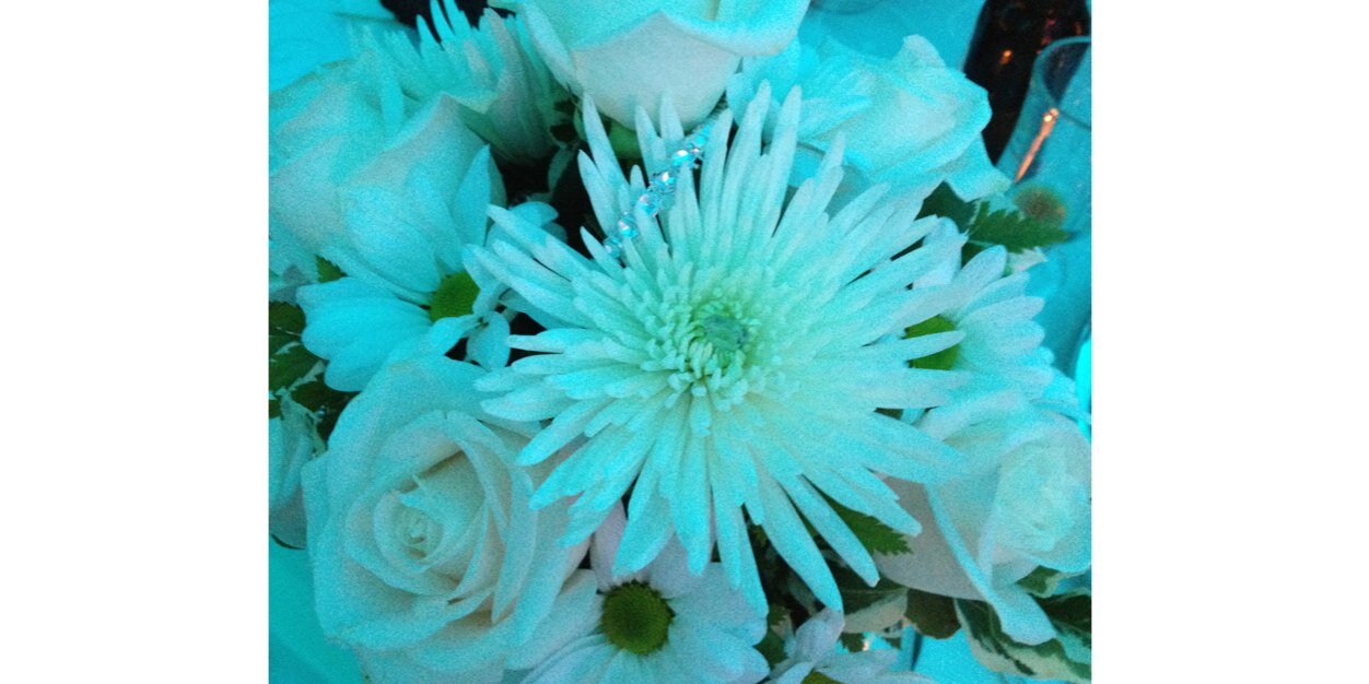 Lady_ABennett's profile banner image
