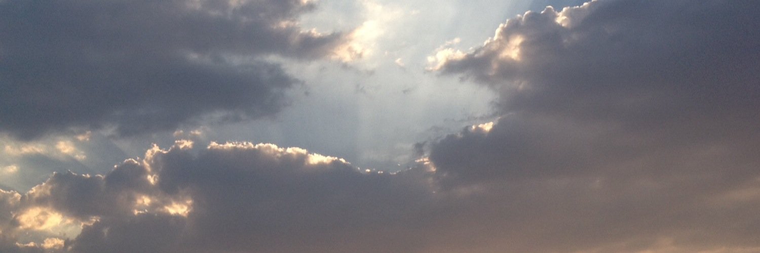 piae's profile banner image