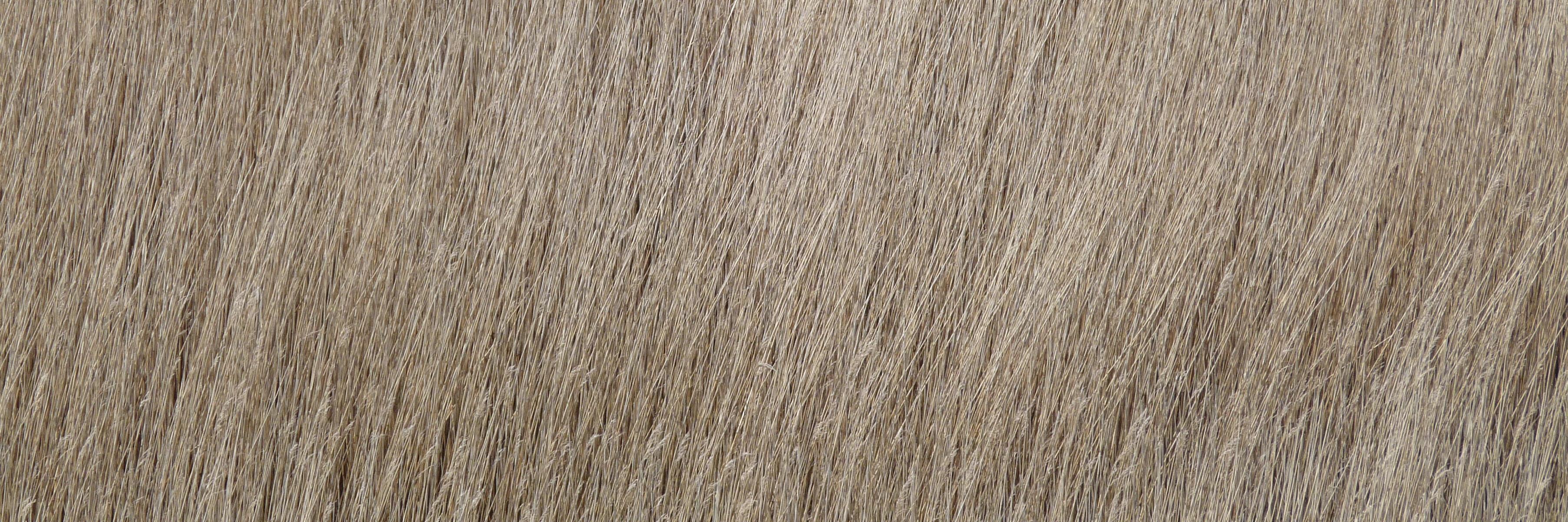derVermesser's profile banner image