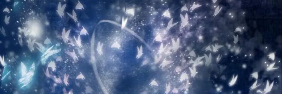 FaFa_TGCF's profile banner image