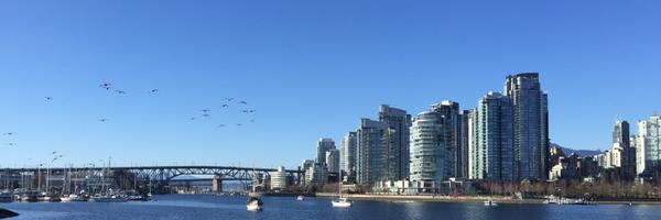 VarshneyMD Profile Banner