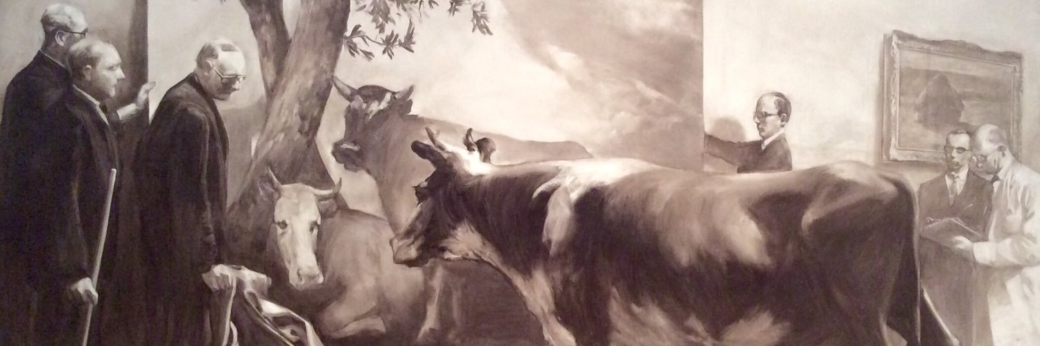 Kassandra Nokes banner