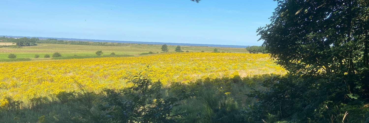 Andrew Nicoll Ω banner