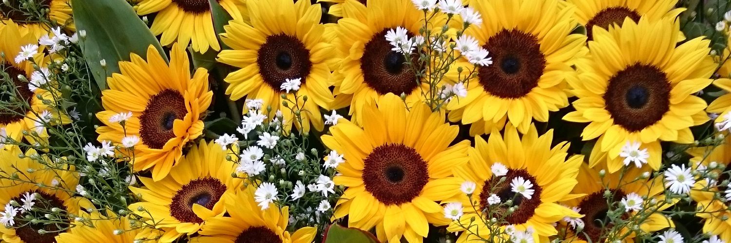 yychoco417's profile banner image