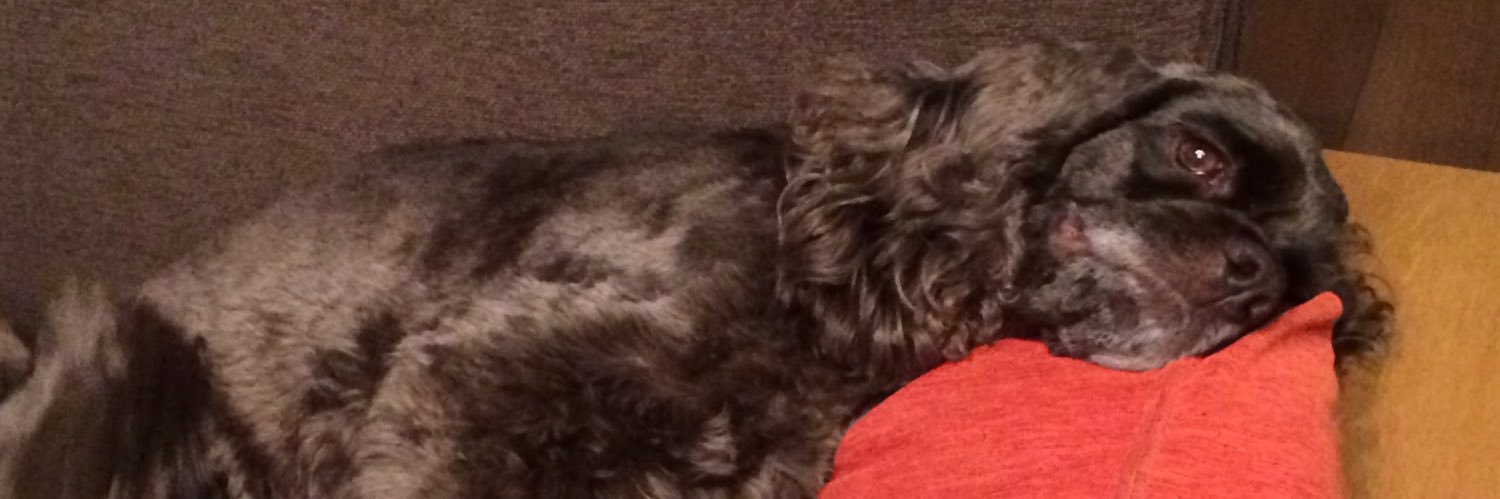 チップ母さん👩 banner