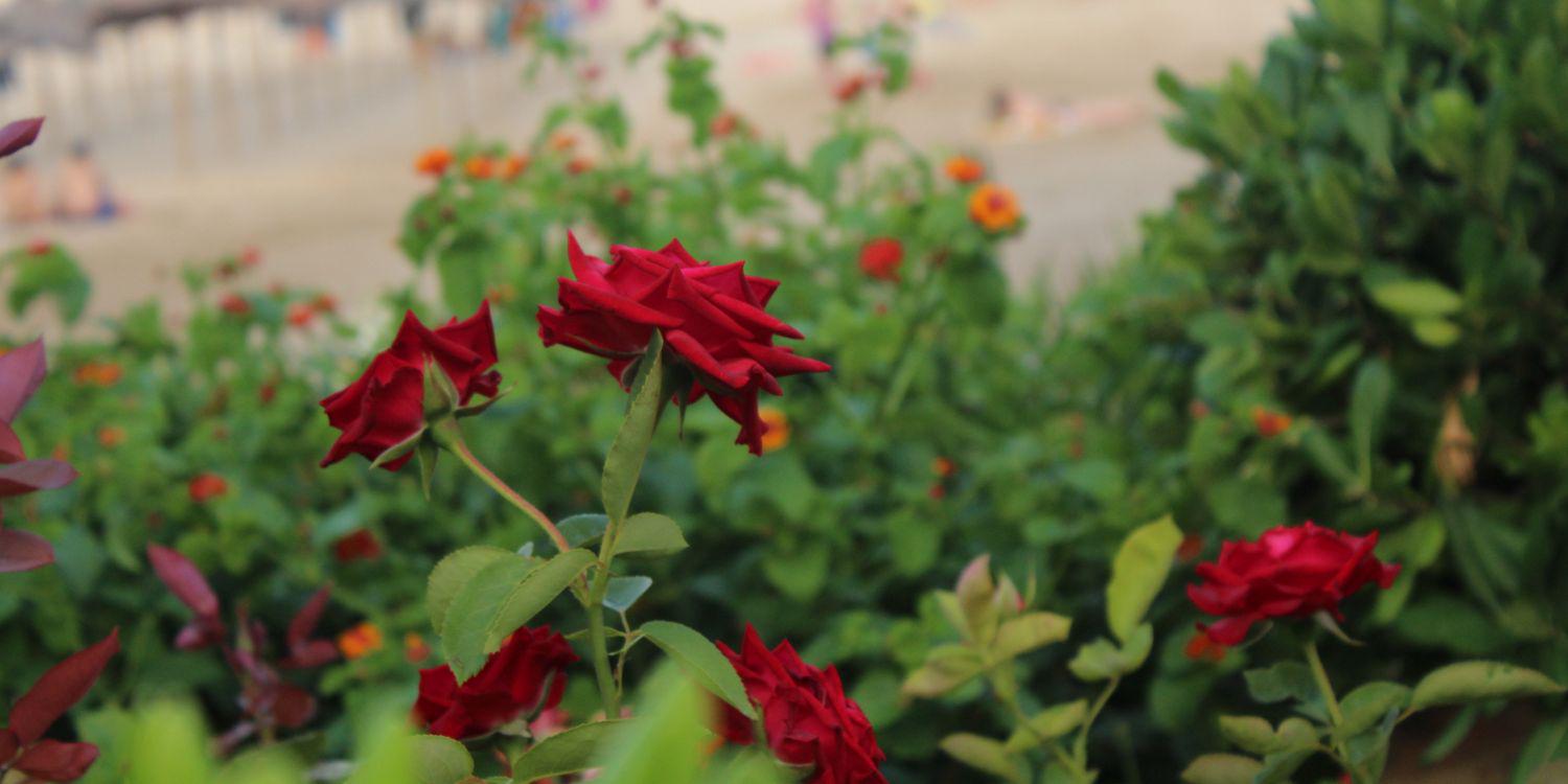angr5921's profile banner image