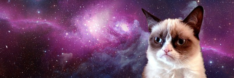 PamTaco's profile banner image