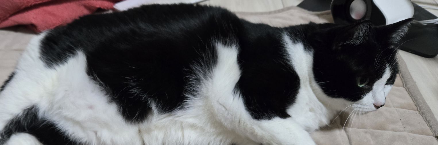 makoxchip's profile banner image