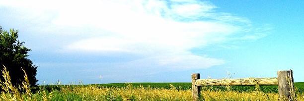 Dakota banner