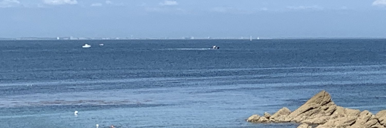 Yves Hervouet dF banner