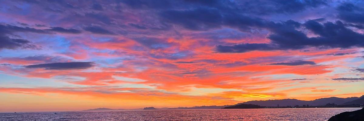 malikwxed_'s profile banner image