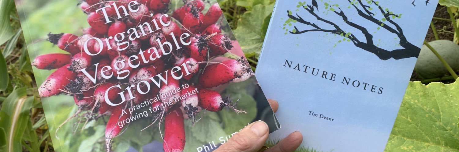 Phil Sumption banner