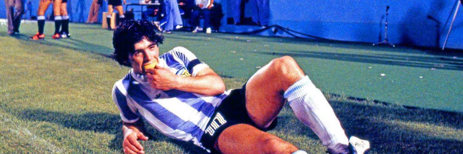 🐫⭐️⭐️ banner