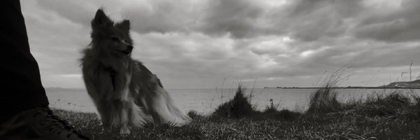 adrianh Profile Banner