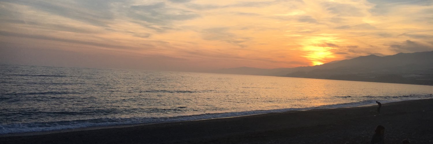 pepealb's profile banner image