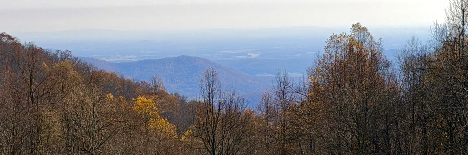 Sorry Charlie™️ banner