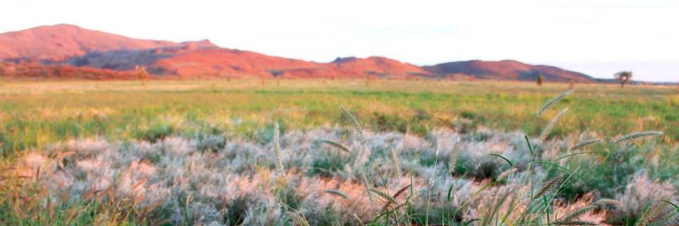 BridgetMBarker's profile banner image