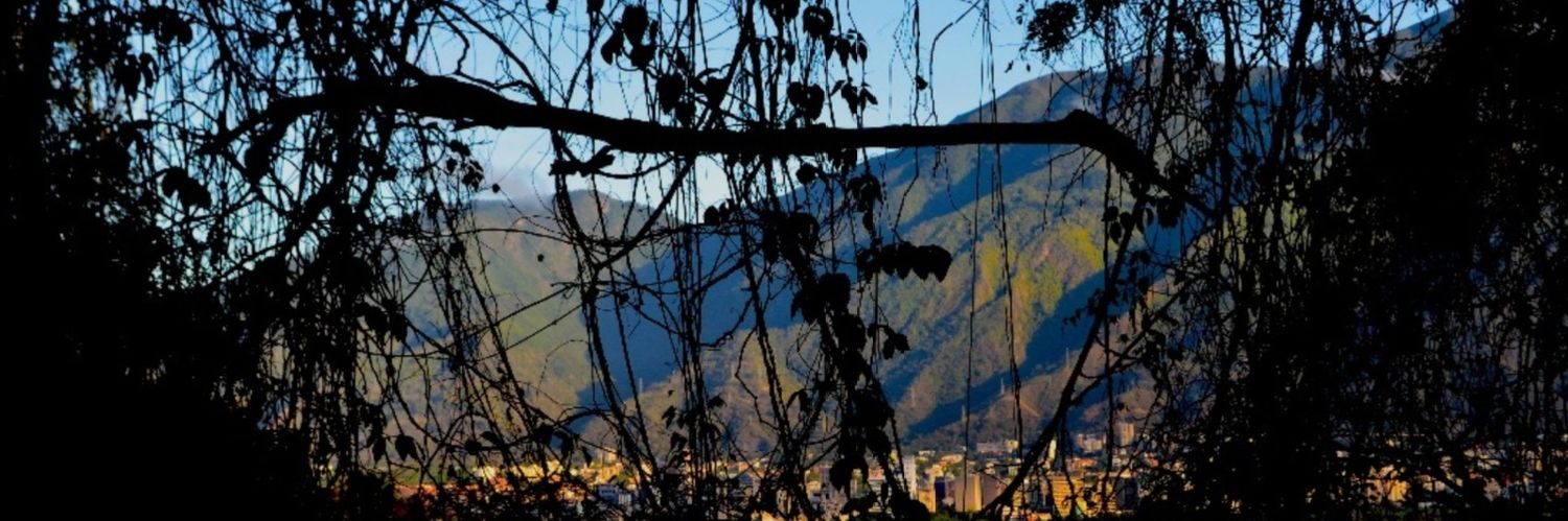 Alberto Gaudio banner