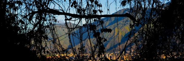 AlbertoGaudio1 Profile Banner