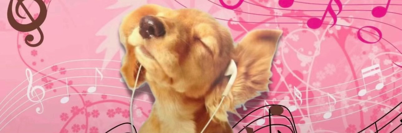 lookpadhs28's profile banner image