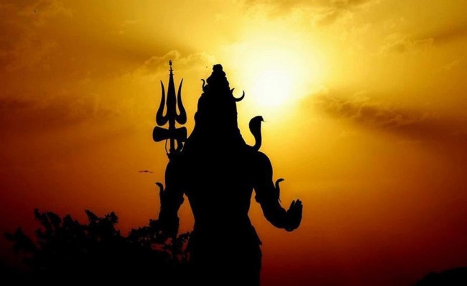 चयन 🇮🇳's banner