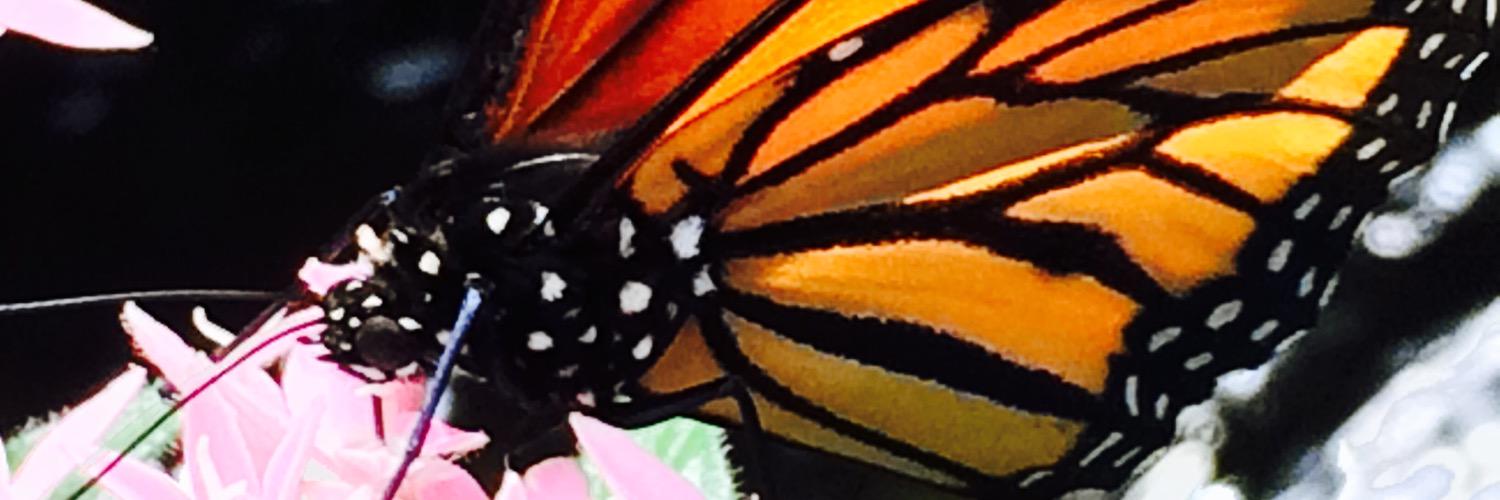 juanarango59's profile banner image