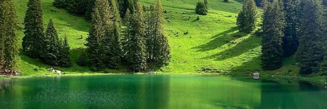 Shashanka | ಶಶಾಂಕ banner