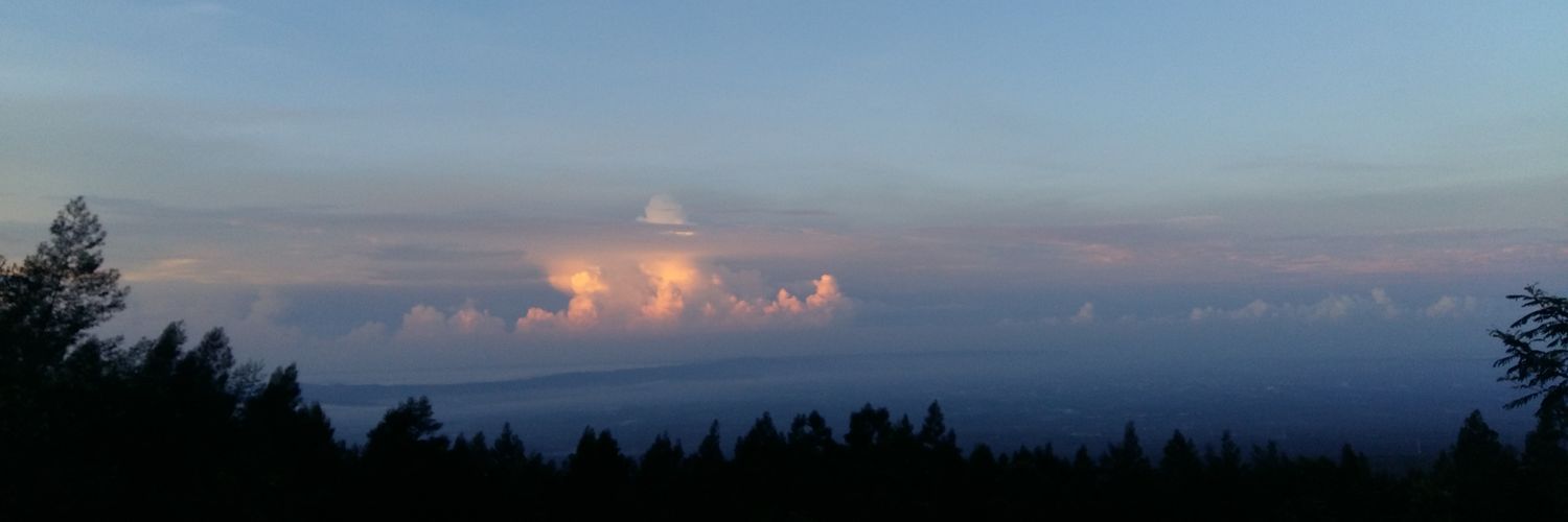 novitagnes's profile banner image