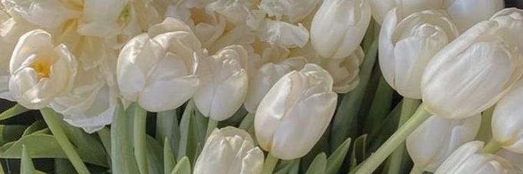 golldenfind's profile banner image