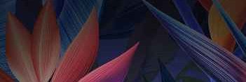 JonasTernstrand's profile banner image