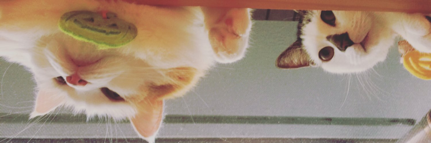 A_08181215's profile banner image