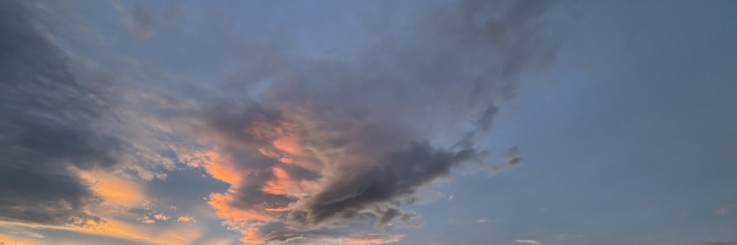 Jokin Bildarratz banner