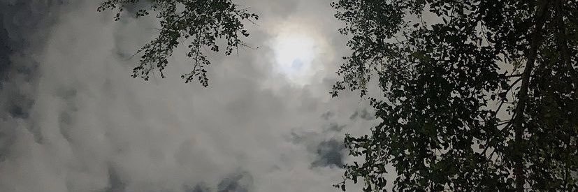 5012Rood's profile banner image