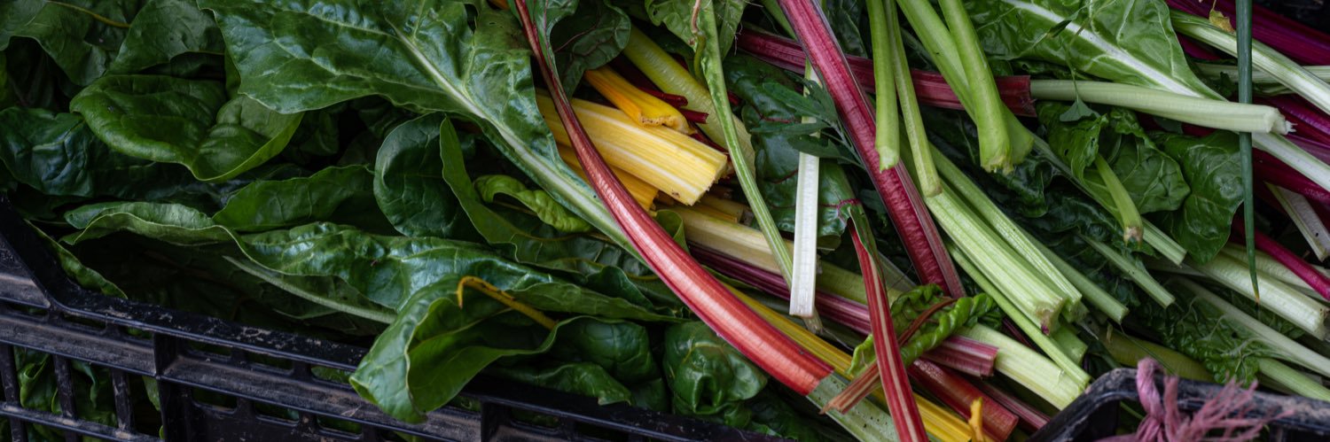 FoodPhotoFiggy's profile banner image