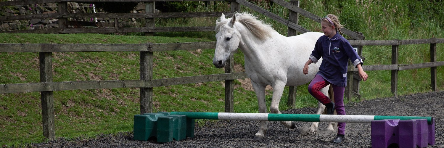 ThinkLikeaPony banner