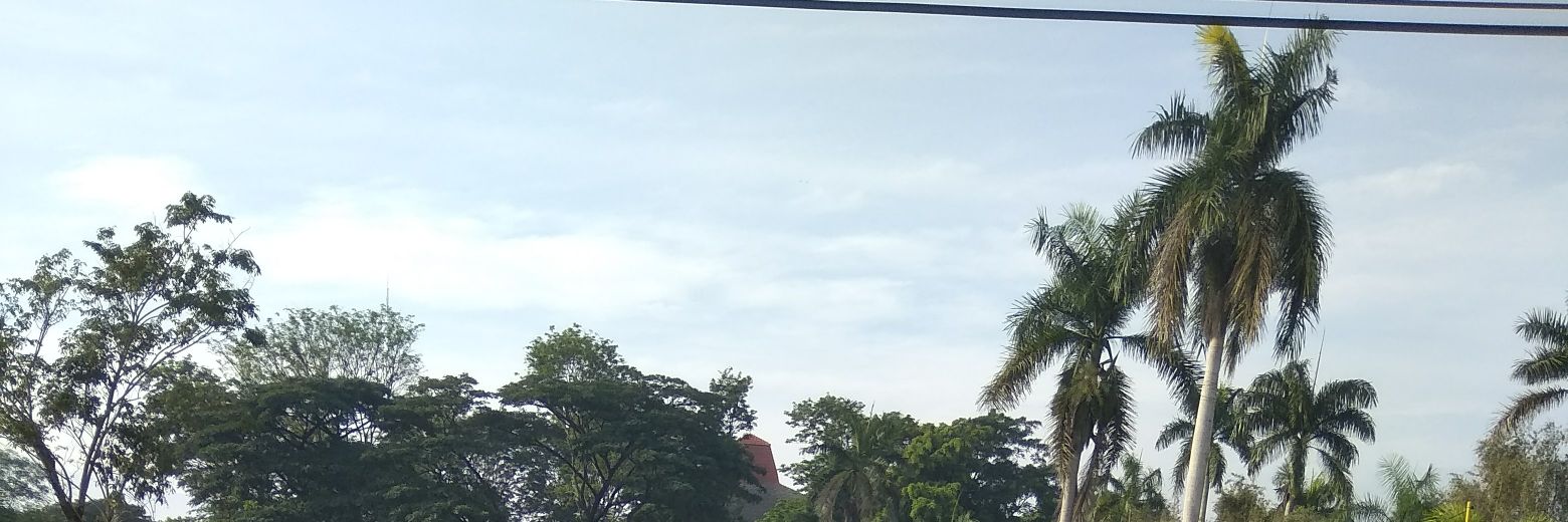 wonkaaaa's profile banner image