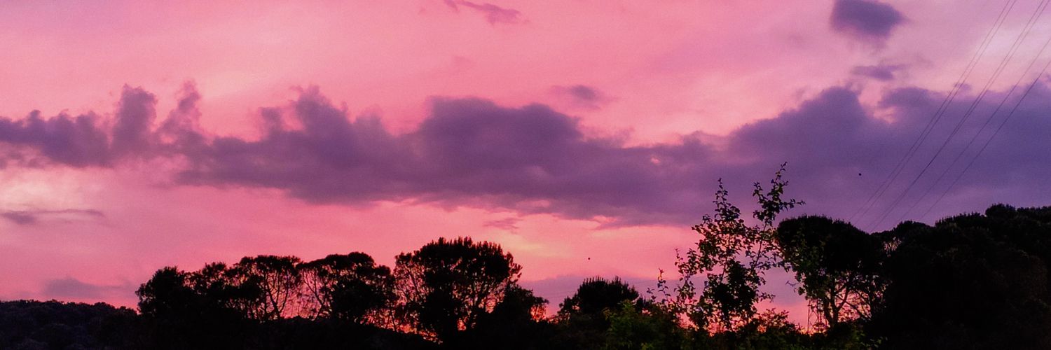 UNAUTHORIZED PERSON banner