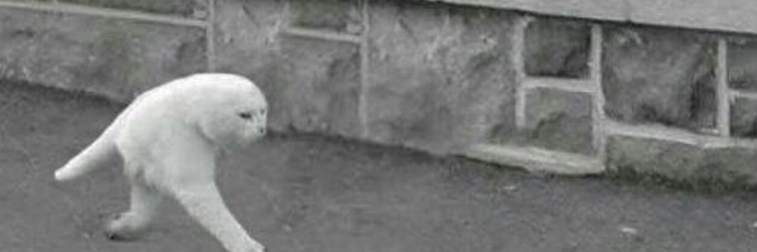 ほんにゃら商事 banner
