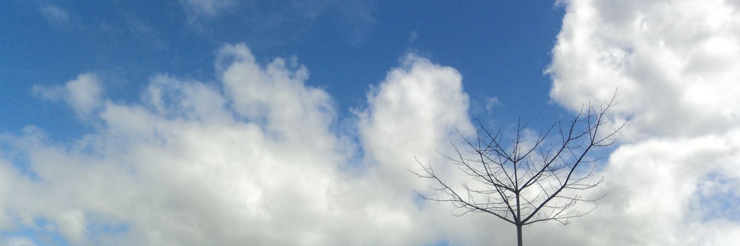 cheenzzyy's profile banner image