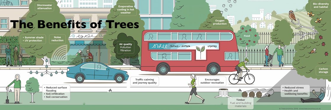 Treeconomics Ltd banner