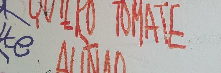 elboniko's profile banner image